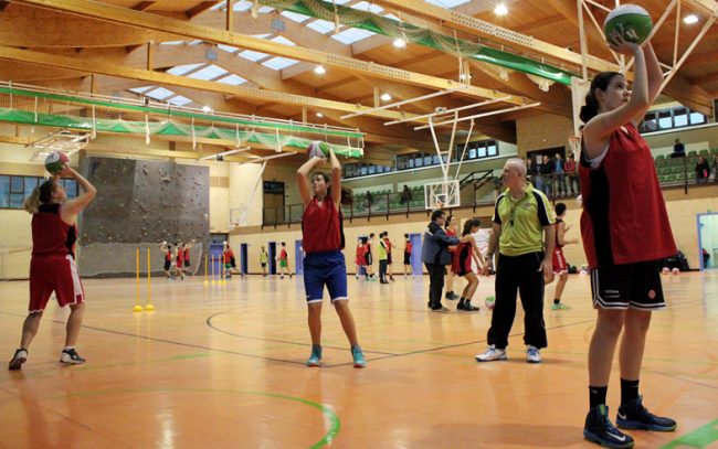 tecni-badiola tecni badiola