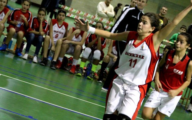 CTO-MIINI-FE-BIZK-ARABA2