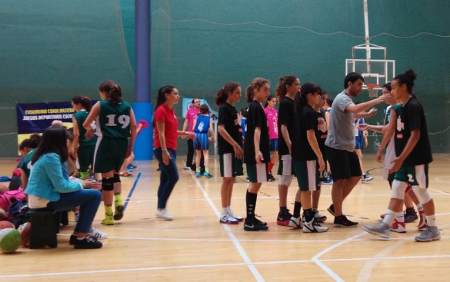 JJEE—IBAIZABAL-MINI